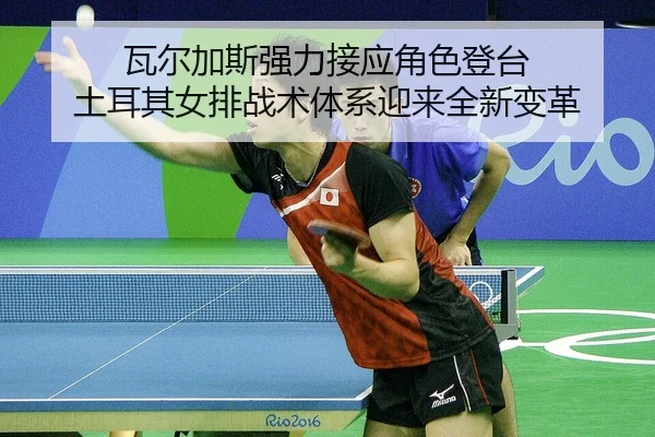 瓦尔加斯强力接应角色登台 土耳其女排战术体系迎来全新变革